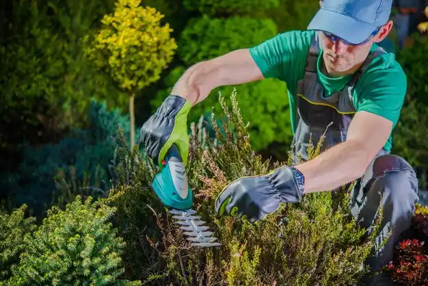 landscaping services Seward